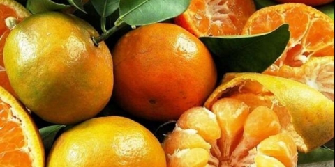 Koja je razlika između narandže i mandarine: šta je ukusnije i zdravije